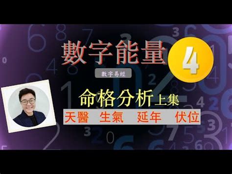 天醫 延年 生氣|【天醫 延年 生氣】解鎖你的數字運勢：天醫、延年、生氣號碼全。